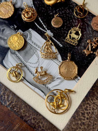 ZODIAC CHARMS (JPRD)