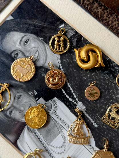 ZODIAC CHARMS (JPRD)