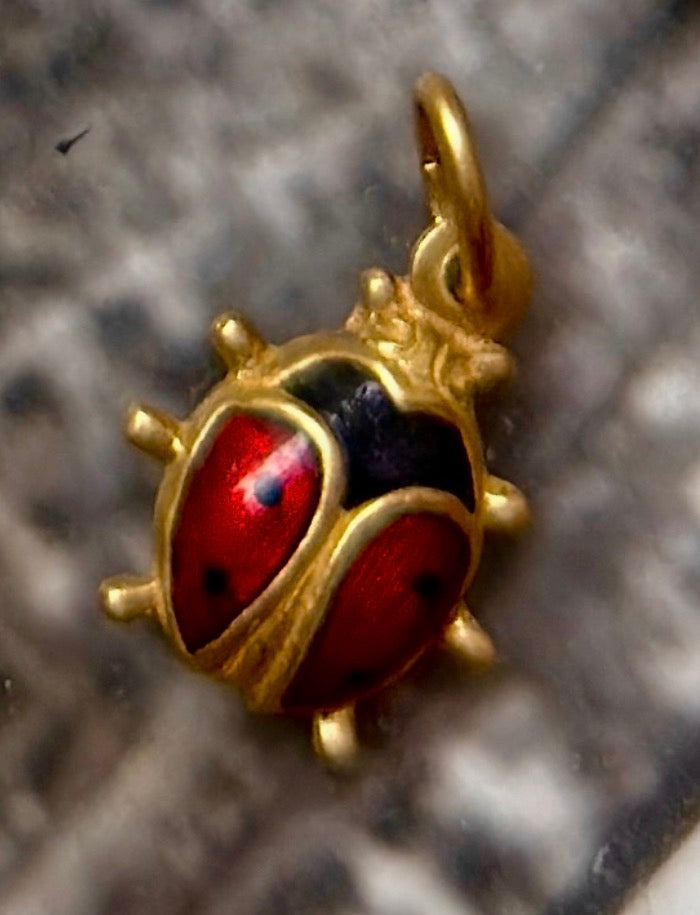 SPIRIT ANIMAL CHARMS (JPRD)