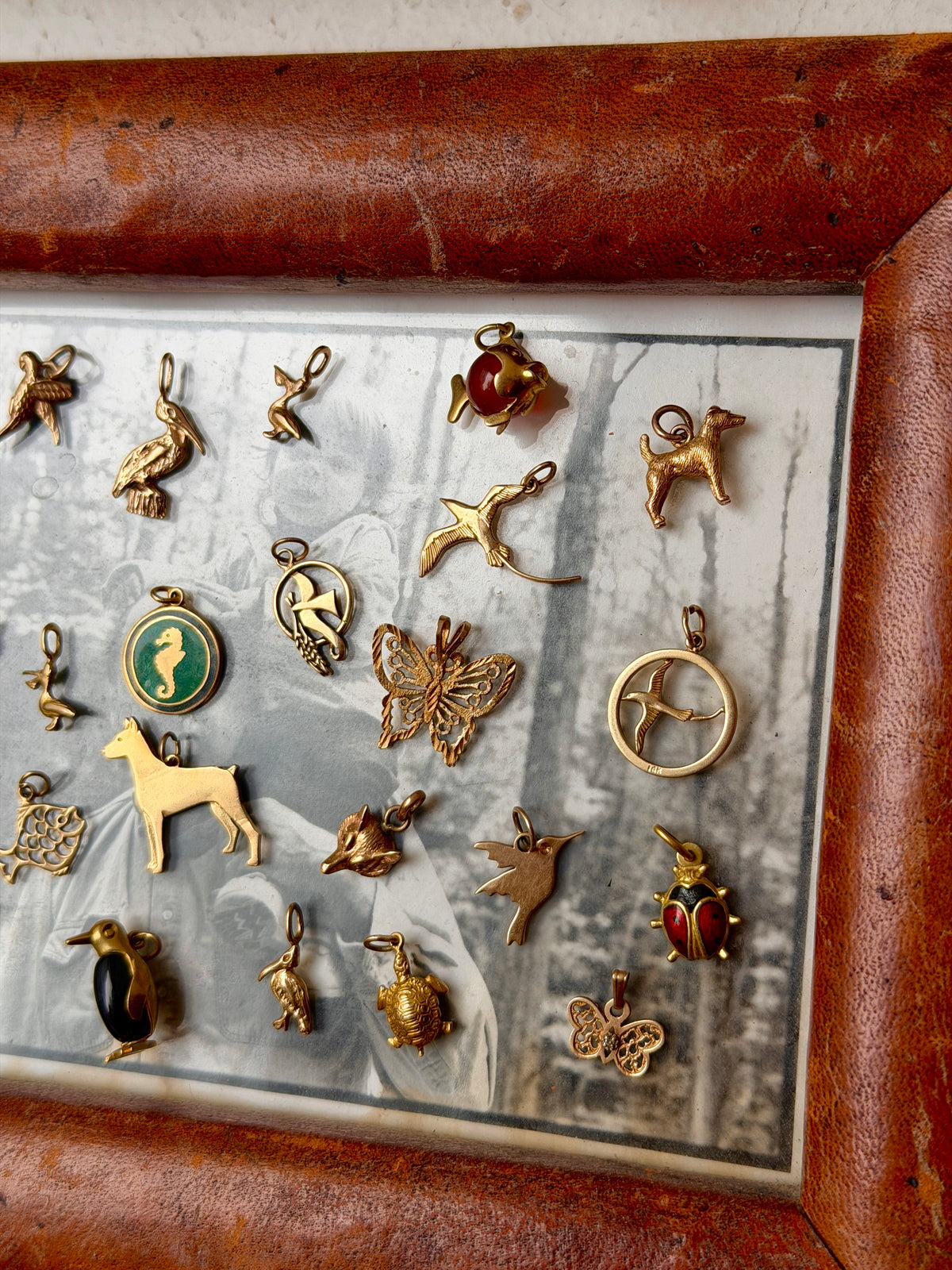 SPIRIT ANIMAL CHARMS (JPRD)