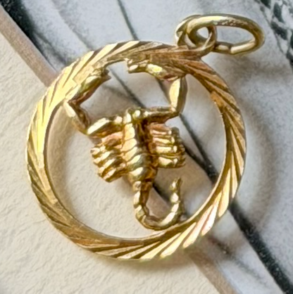 ZODIAC CHARMS (JPRD)