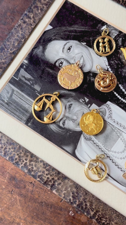ZODIAC CHARMS (JPRD)